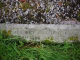 image of grave number 842413